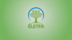 eletfa-9tv