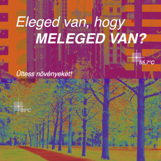 Szilassy_Judit_Eleged_van_hogy_meleged_van