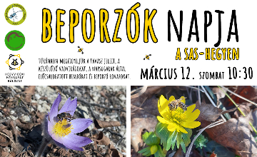 beporzok_napja_2022_360x220