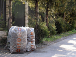 Green waste collection